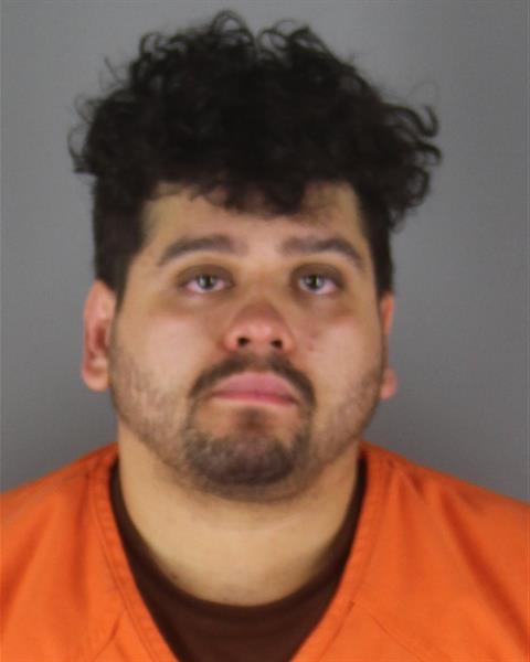 Mugshot of STEFAN JOLES