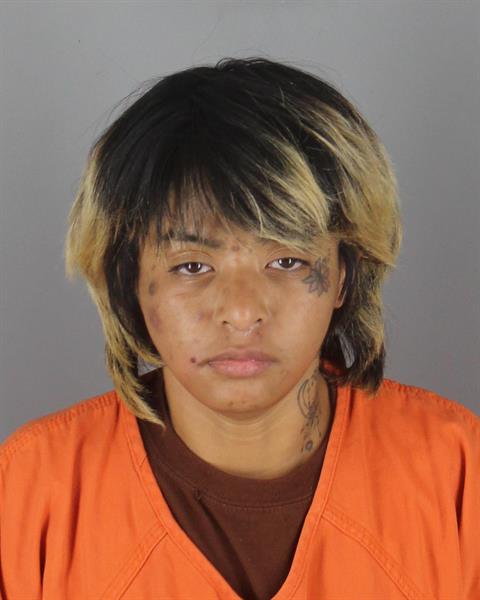 Mugshot of MICHELLE EVONY NIN