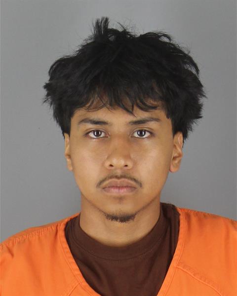 Mugshot of GAEL CORTEZ