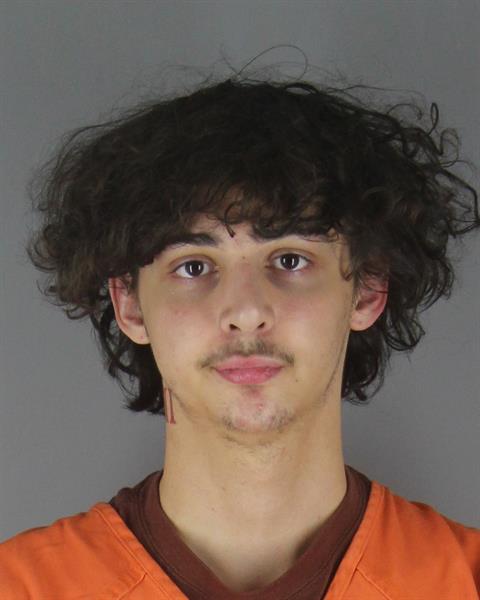 Mugshot of WILLIAM CHRISTOPHER RAY 3RD NELSON
