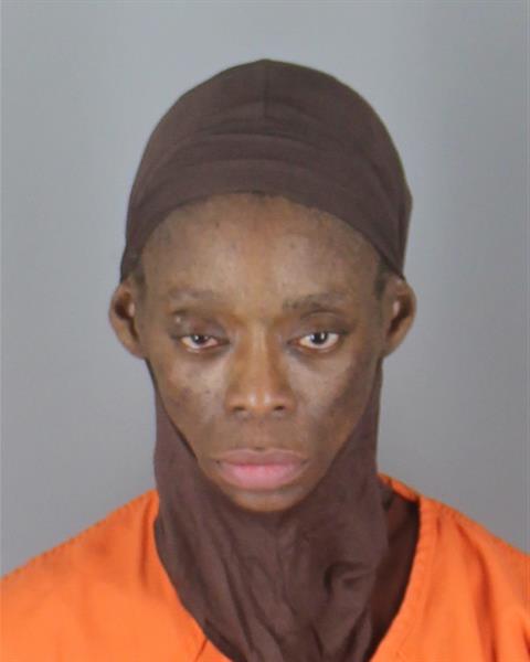 Mugshot of TASHANA SHAMIRA FISHER