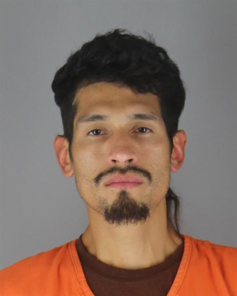 Mugshot of DAVID JAVIER JR GONZALEZ