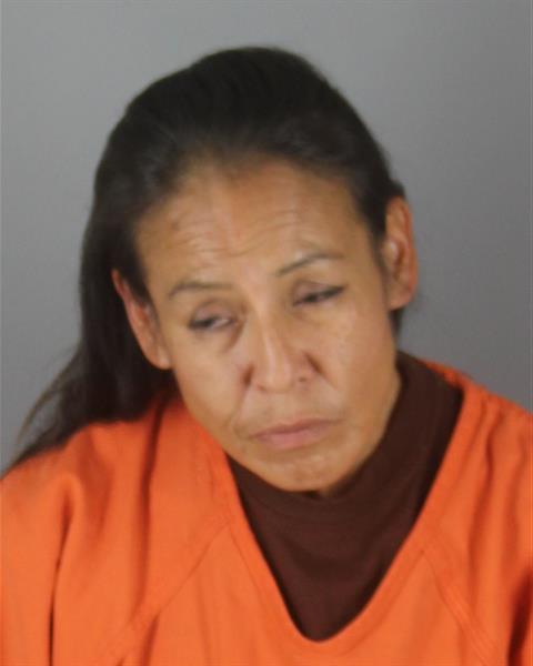 Mugshot of LORI ANN SMITH