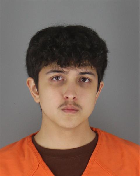 Mugshot of RAMONE JEVON OSTERMAN