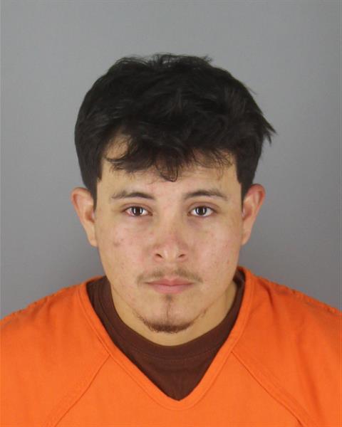 Mugshot of JUNIOR HERNAN GALEAS VARGAS