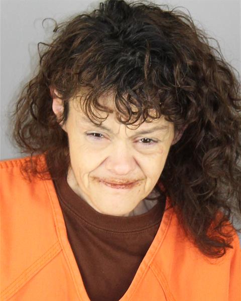 Mugshot of CANDICE JEAN JOHNSON
