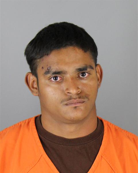 Mugshot of IVIS AMED HERRERA