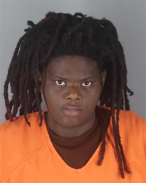Mugshot of ANNALEE MAYS
