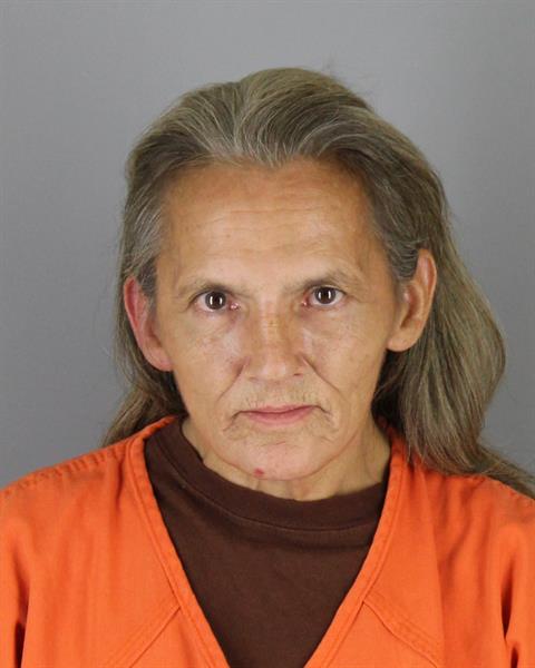 Mugshot of DENISE MARIE STAPLES