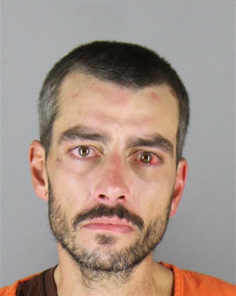 Mugshot of DAVID CREIGHTON BRANDON