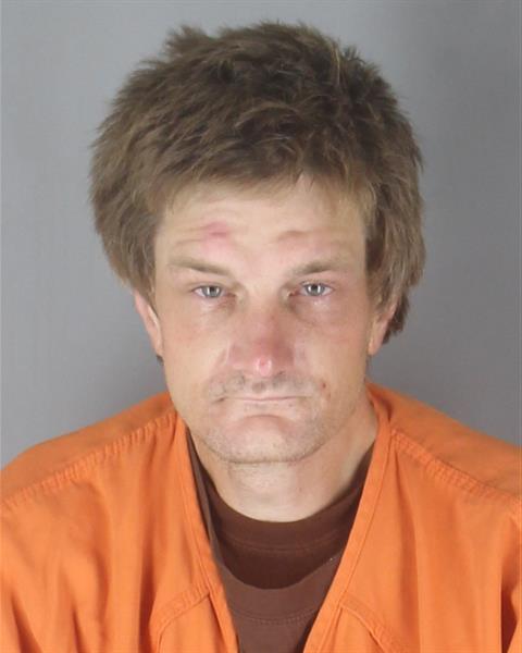 Mugshot of STEPHEN JAMES SWENSON