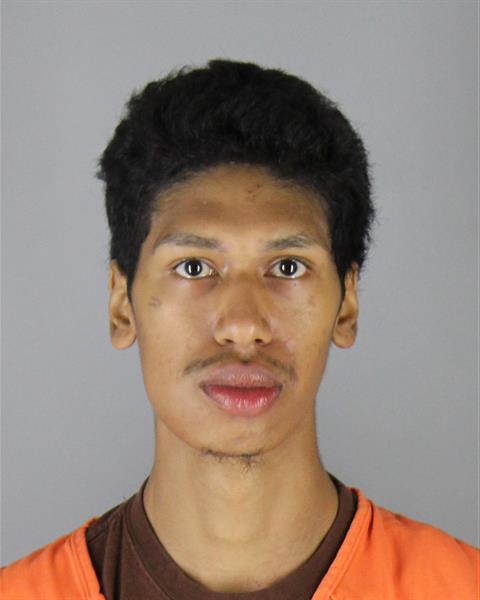 Mugshot of DURELL AMOD LIGHTFEATHER
