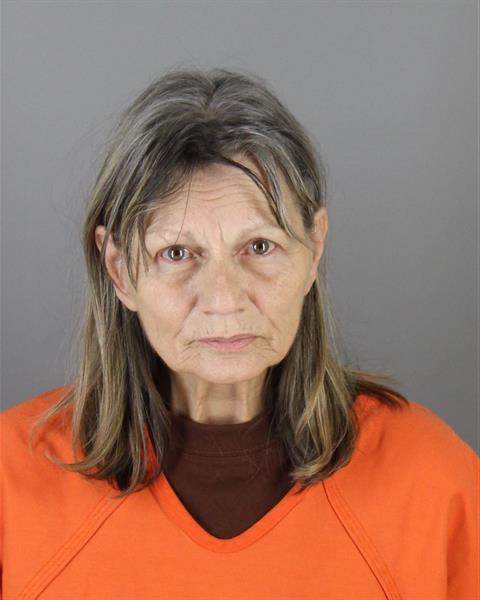 Mugshot of VALERIE JEAN ANDERSON