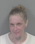 Mugshot of Contessa Ann Fogel