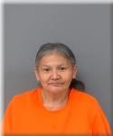 Mugshot of Sherilyn Strong