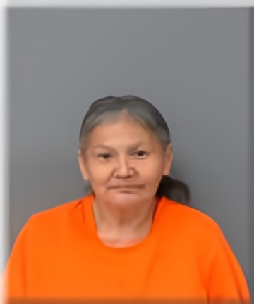 Mugshot of Sherilyn Strong