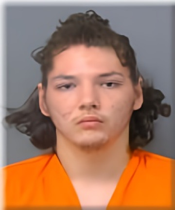 Mugshot of Richard Jones Larsen