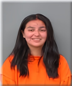 Mugshot of Monica Fisher