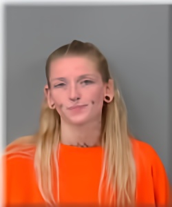 Mugshot of Allison Schwartz