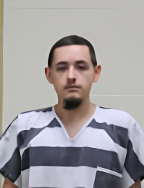 Mugshot of Thomas Micheal Folkerts