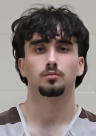 Mugshot of Ali Joe Jenkins