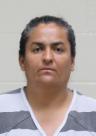 Mugshot of Jenny L Contreras