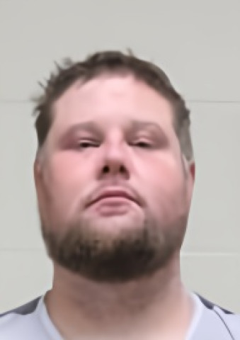 Mugshot of Jamie Lee Paulsen