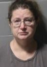 Mugshot of JAMIE LEANN MOYER