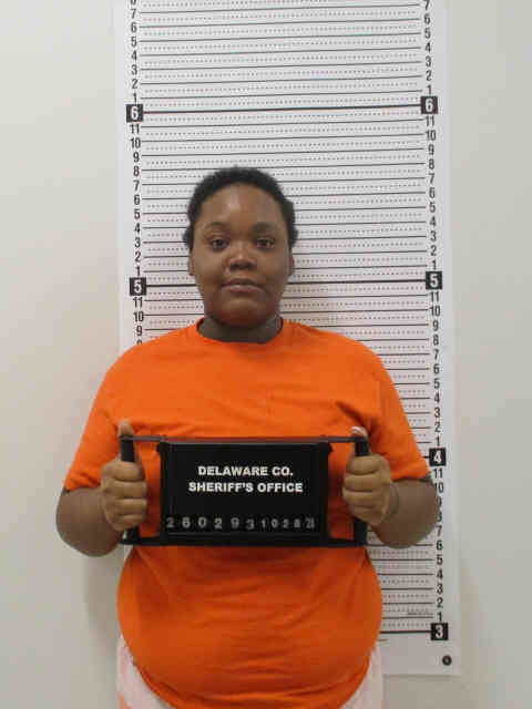 Mugshot of LEMAYA LENAY HURRINS-WELLS