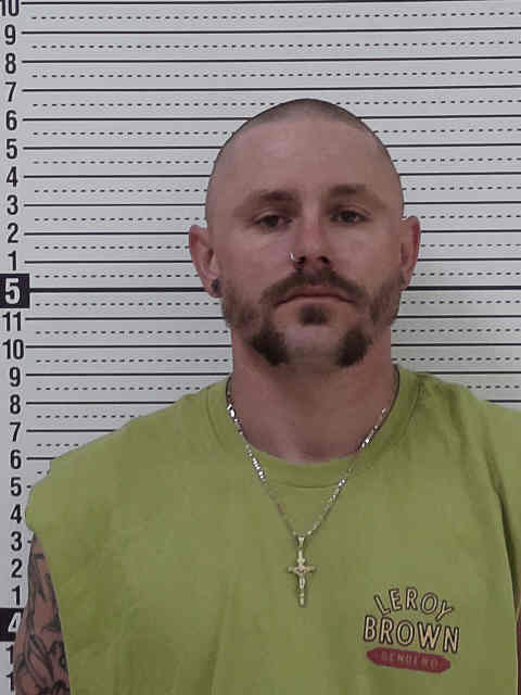 Mugshot of WILLIAM JAMES NEWTON