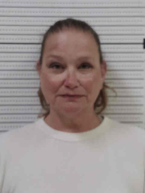 Mugshot of JULIE ANN REDMOND