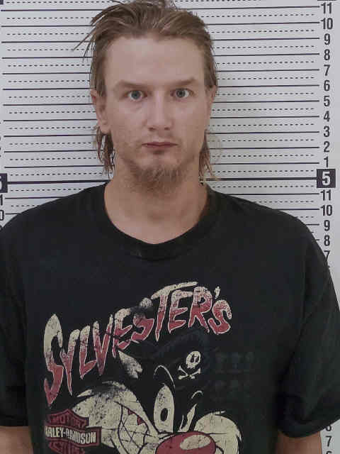 Mugshot of JAMES MICHAEL TOMS