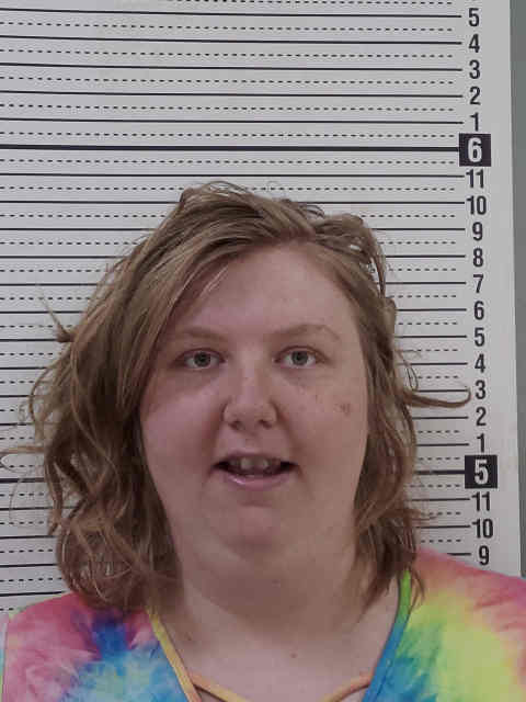 Mugshot of KATIE GRACE LYNN MCDONOUGH