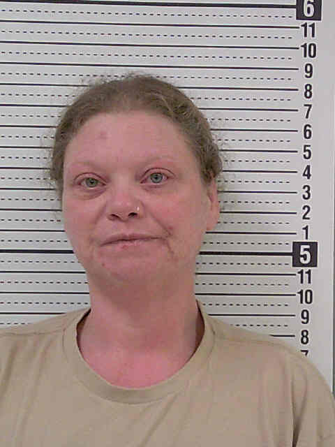 Mugshot of JENNIFER LYNN HERMAN