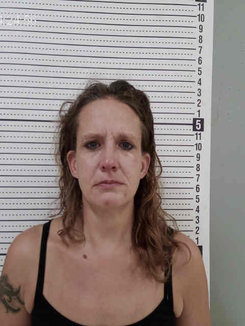 Mugshot of CHRISTINA IRENE EDITH WILLIAMS