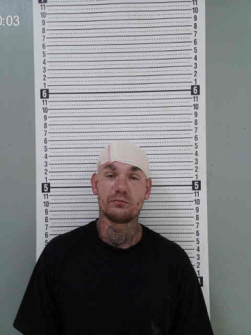 Mugshot of SHANE THOMAS-WAYNE KAUFFMAN