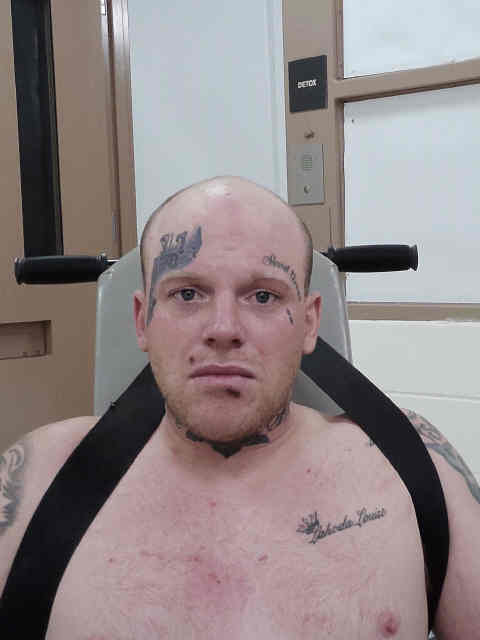 Mugshot of SHANE RYAN HOWARD