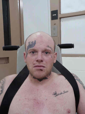 Mugshot of SHANE RYAN HOWARD