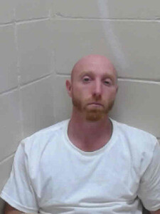 Mugshot of RYAN D PEPPELS