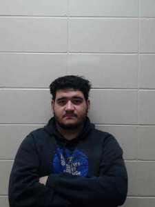 Mugshot of LUNA B VENEGAS