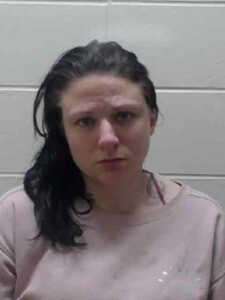 Mugshot of AMANDA N HOURANI