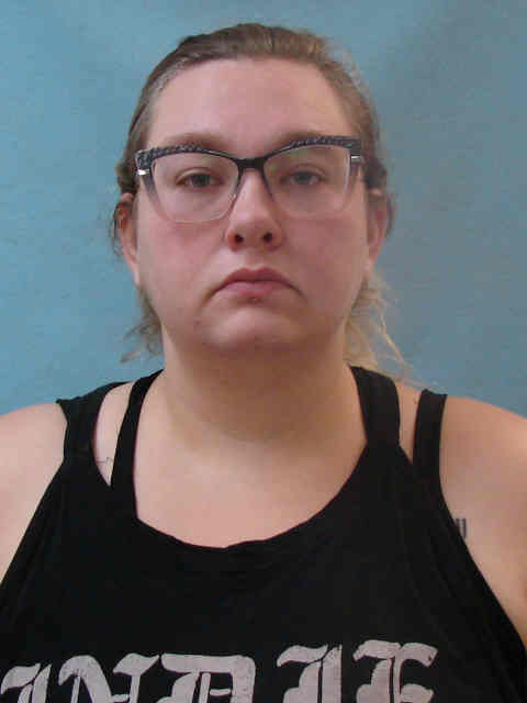 Mugshot of SARAH ANN ROBBINS
