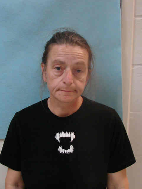Mugshot of TANYA LYNN SNYDER