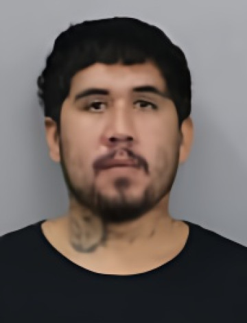 Mugshot of FERNANDO VARGAS