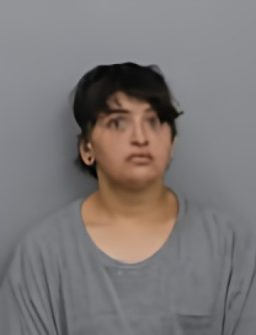 Mugshot of JESSICA LYNN COLLINSON