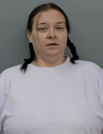 Mugshot of SHELBIE DEA GARCIA