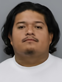 Mugshot of LUIS DIEGO FLORES GALEANA
