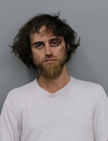 Mugshot of BRANDON EUGENE MICHAEL HOLUBAR