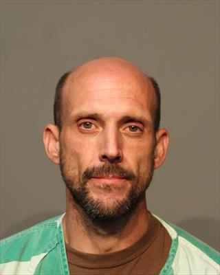 Mugshot of BRIAN RODNEY WOLT