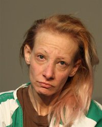 Mugshot of MELISSA ANN HAVENS